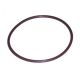 O-Ring Dichtung Gehäusedeckel 2*57 Adly ATV Quad 300