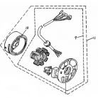 Lichtmaschine/ Zündankerplatte /Stator Original Adly 50